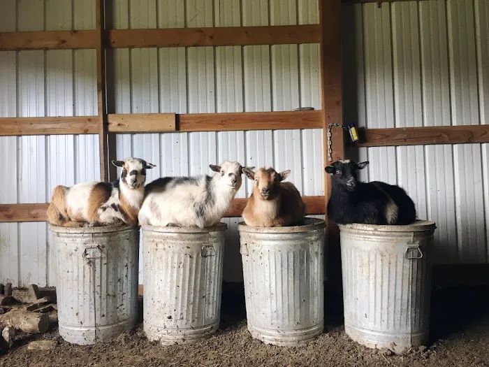 Twin Pines Animal Hospital 12