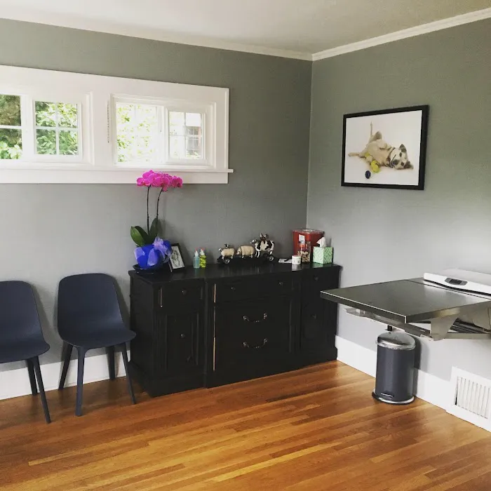 Twin Pines Animal Hospital 12