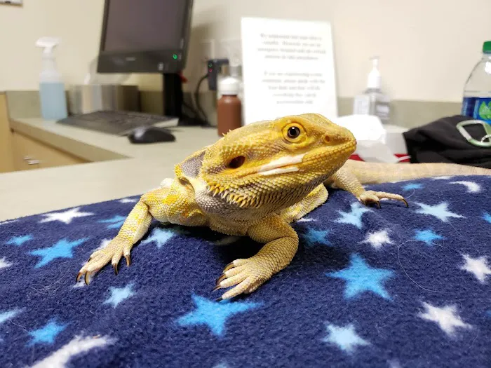 Center for Bird and Exotic Animal Medicine 12