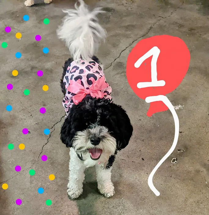 Cedar Plaza Veterinary Clinic 12