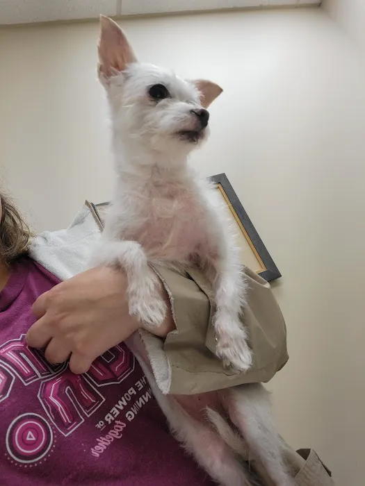 Cedar Plaza Veterinary Clinic 12
