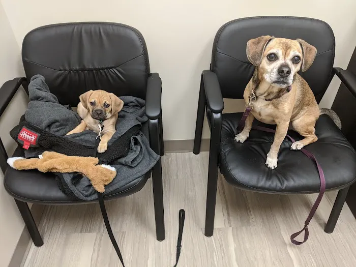 Cedar Plaza Veterinary Clinic 12