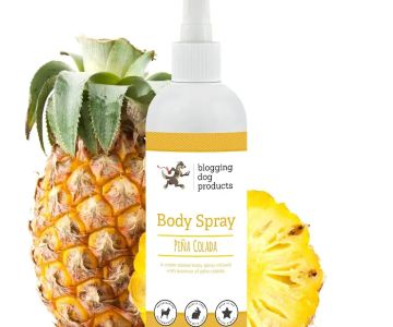 Blogging Dog Products