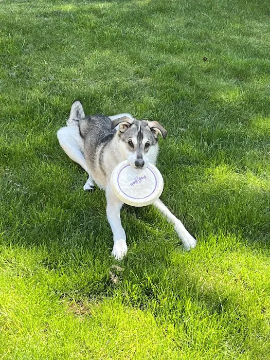 Brier Veterinary Hospital 12