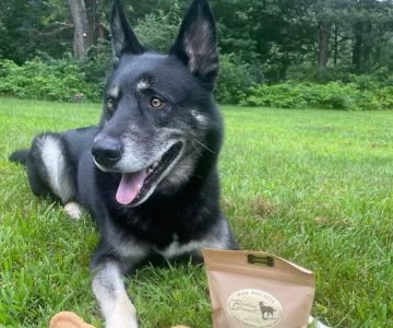 Barkin Biscuit