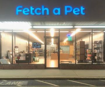 Fetch a Pet