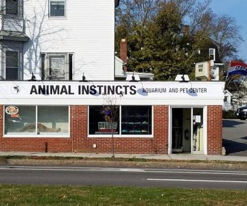 Animal Instincts Aquarium and Pet Center