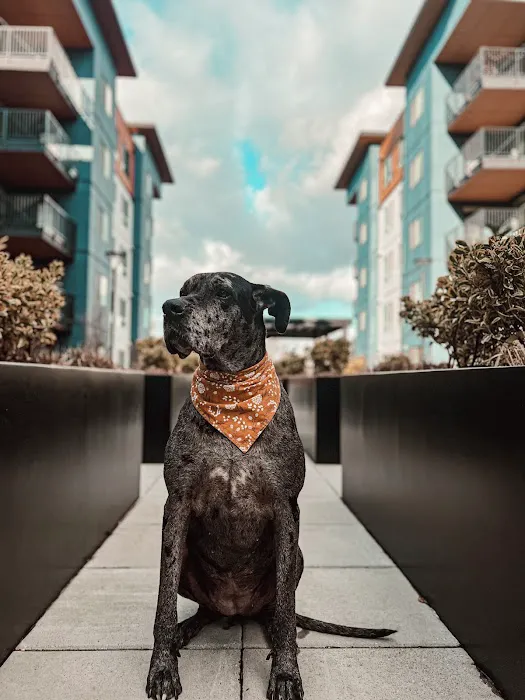 Evergreen Veterinary Hospital 12