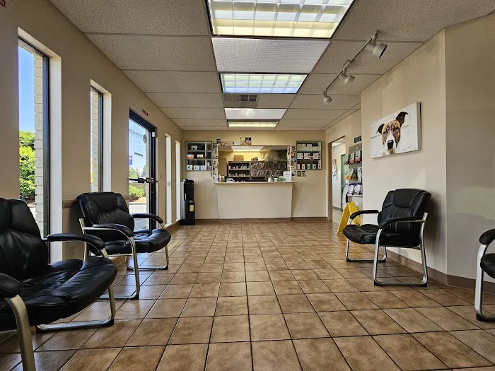 Evergreen Veterinary Hospital 12