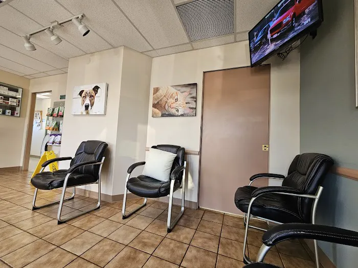 Evergreen Veterinary Hospital 12