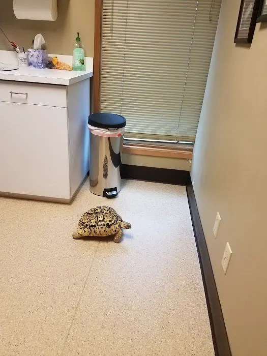 Evergreen Avian and Exotic Animal Hospital 12