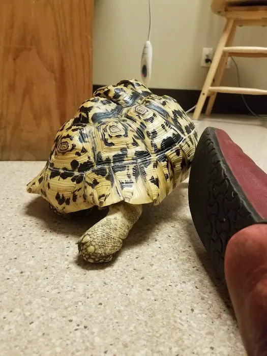 Evergreen Avian and Exotic Animal Hospital 12