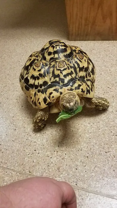Evergreen Avian and Exotic Animal Hospital 12