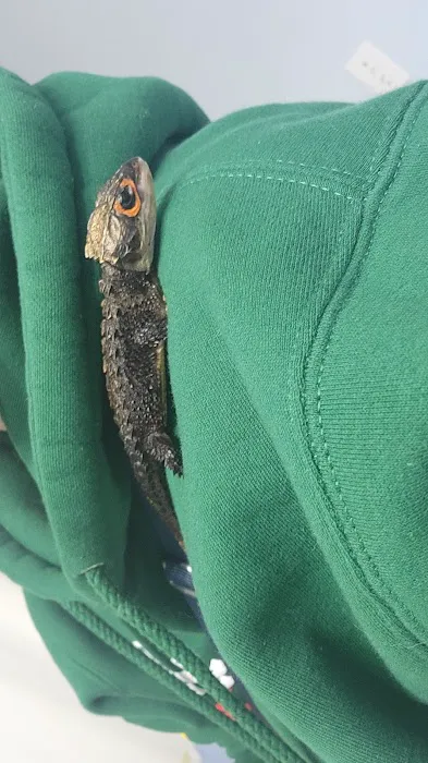 Evergreen Avian and Exotic Animal Hospital 12