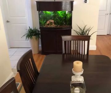 Above & Beyond Aquarium Service