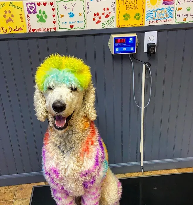 Critter Doctor Animal Hospital is Now BoosterPet - Kirkland 12