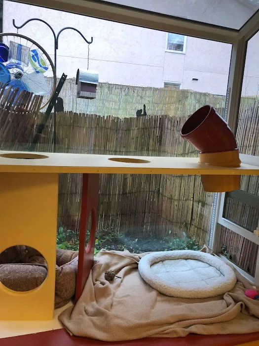 Critter Doctor Animal Hospital is Now BoosterPet - Kirkland 12