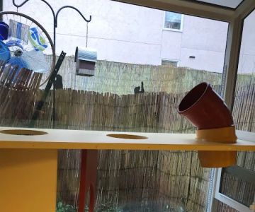 Critter Doctor Animal Hospital is Now BoosterPet - Kirkland