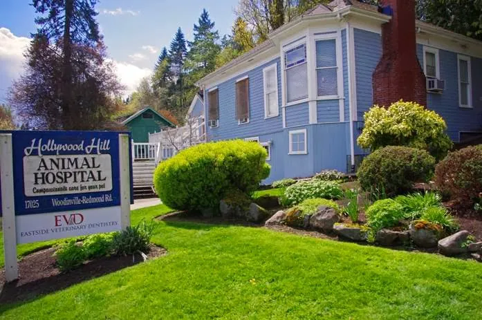 Hollywood Hill Animal Hospital 12