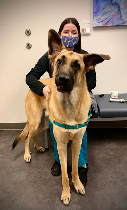 Woodinville Veterinary Hospital & Urgent Care Services 12