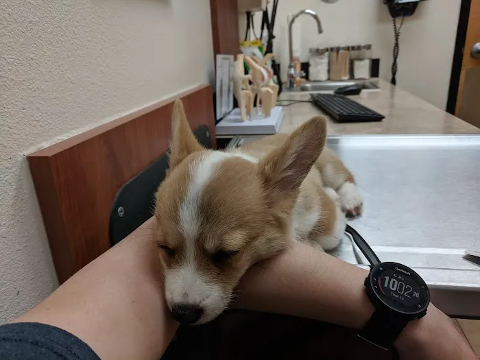 Banfield Pet Hospital 12