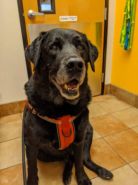 Banfield Pet Hospital 12