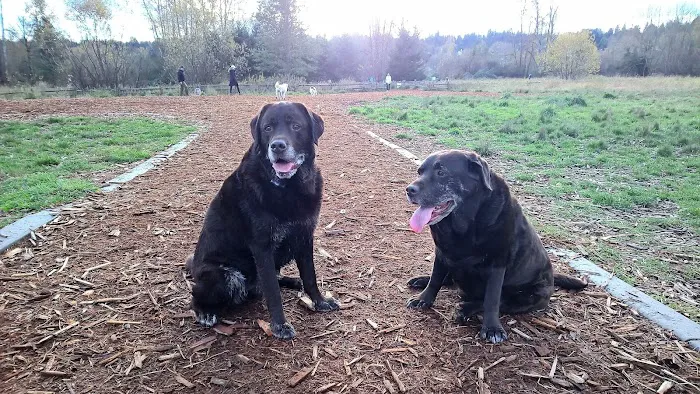 Woodinville Animal Hospital 12