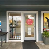 VCA Sno-Wood Animal Hospital ico
