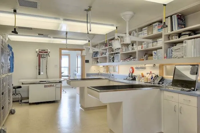 Eastside Veterinary Associates - Kirkland 12