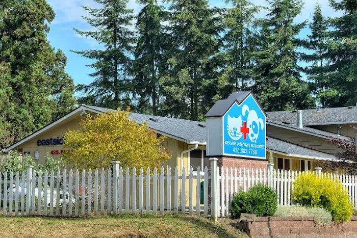 Eastside Veterinary Associates - Kirkland 12