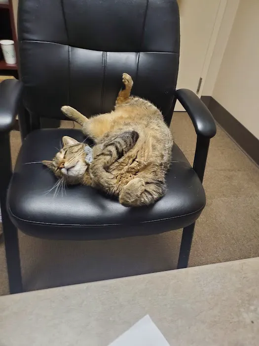 Edmonds Veterinary Hospital 12