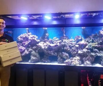 FantaSEA Aquariums | Aquarium Design, Installation, and Service