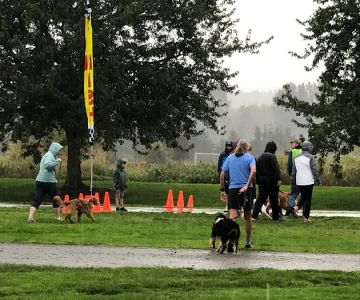 Bridge Animal Referral Center