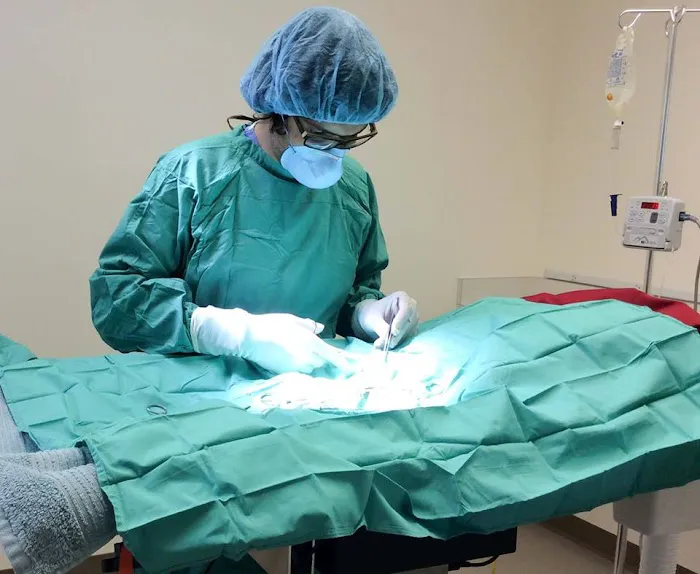 Fifth Avenue Animal Hospital 12