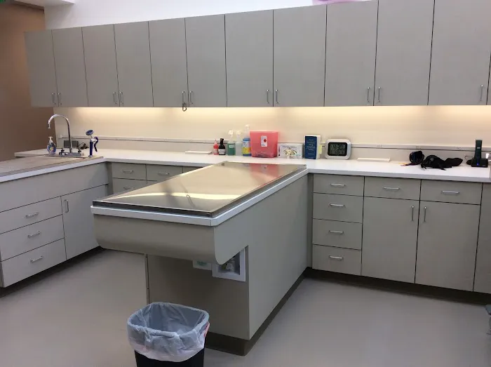 Fifth Avenue Animal Hospital 12