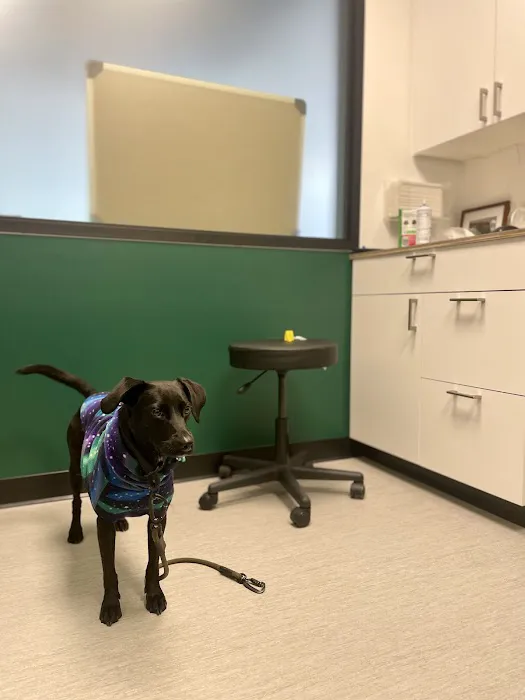 Fremont Animal Hospital 12