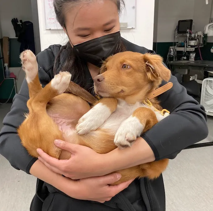 Fremont Animal Hospital 12