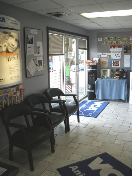VCA Magnolia Animal Hospital 7