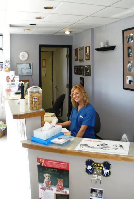 VCA Magnolia Animal Hospital 4