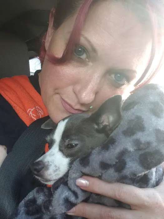 Spay & Neuter Clinic at Seattle Animal Shelter 1