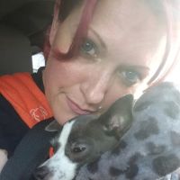 Spay & Neuter Clinic at Seattle Animal Shelter ico
