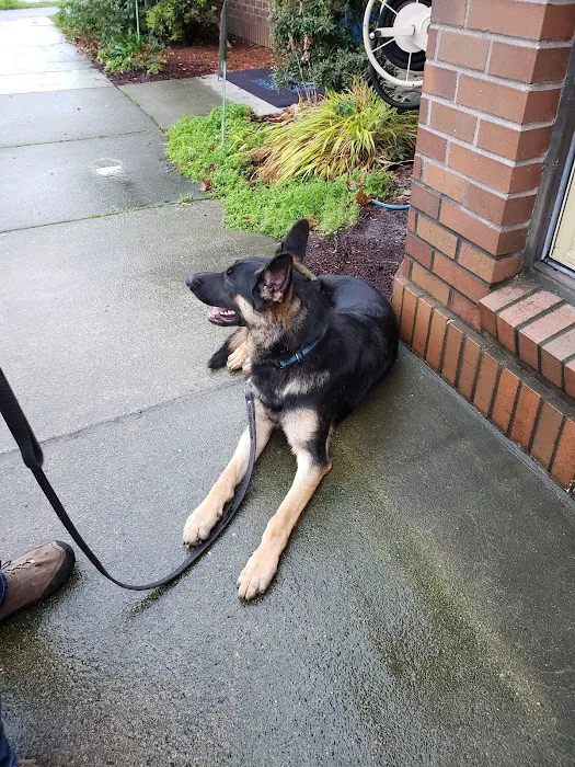 Spay & Neuter Clinic at Seattle Animal Shelter 9