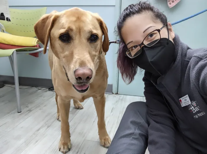 Elliott Bay Animal Hospital 10