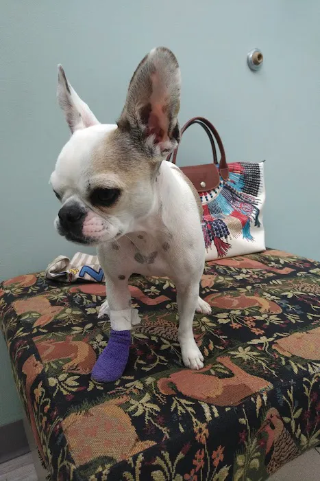 Elliott Bay Animal Hospital 9