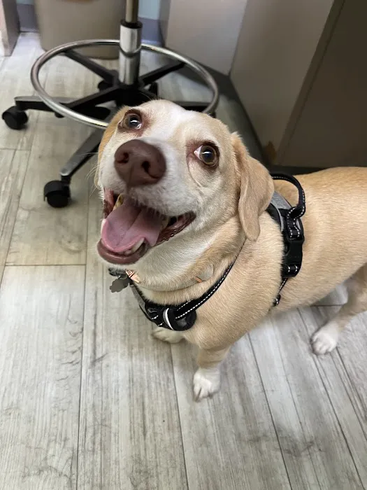 Elliott Bay Animal Hospital 3