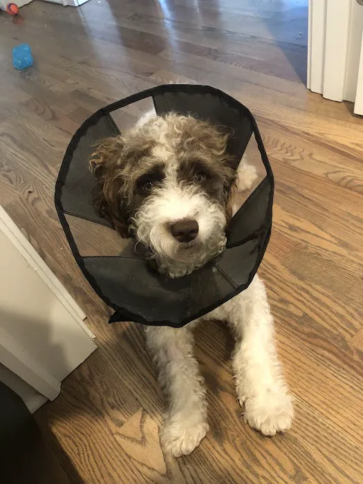 Elliott Bay Animal Hospital 1