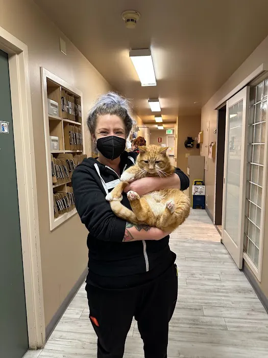 Elliott Bay Animal Hospital 4