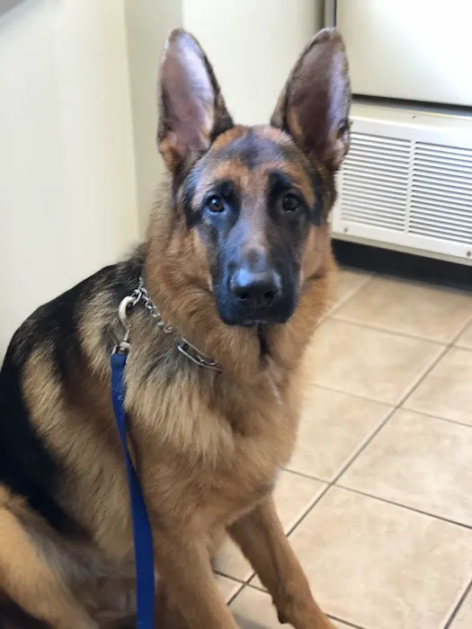 Eastlake Veterinary Hospital: Carl Anderson, DVM 12