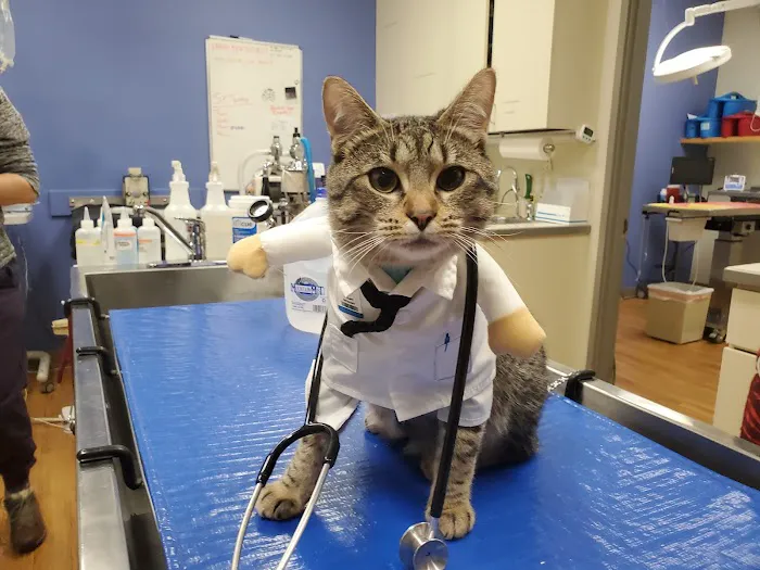 Eastlake Veterinary Hospital 12