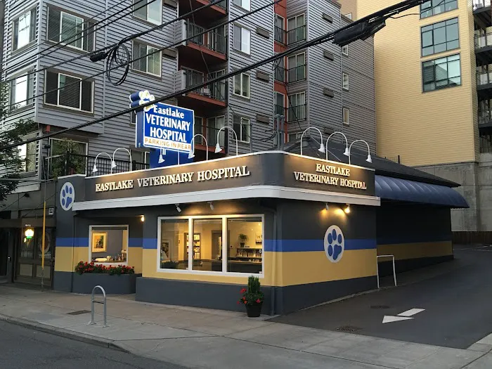 Eastlake Veterinary Hospital 12